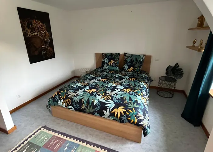 Joli Appartement Situe A Saales